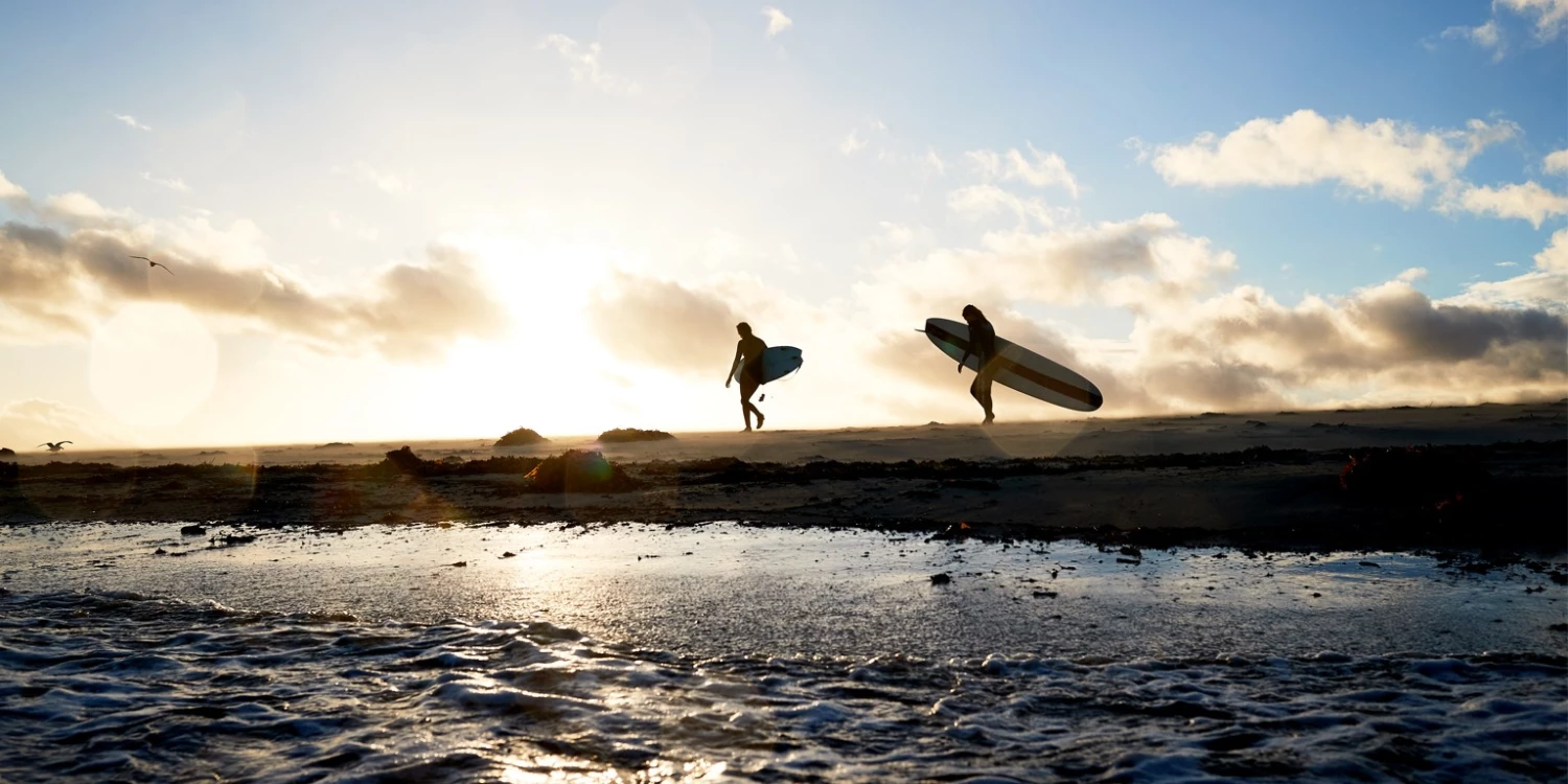 Roxy Sales -Roxy Sales 1