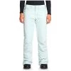 Roxy Backyard Pants - Women's