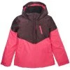 Roxy Frozen Flow Jacket - Girls'