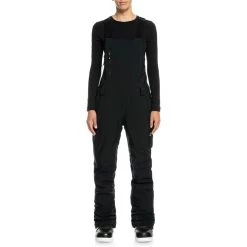 Roxy GORE-TEX Stretch Prism Bib Pants - Women's