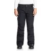 Roxy Rushmore 2L GORE-TEX Pants - Women's -Roxy Sales roxy rushmore 2l gore tex pants women s 0