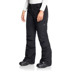 Roxy Rushmore 2L GORE-TEX Pants - Women's -Roxy Sales roxy rushmore 2l gore tex pants women s 2