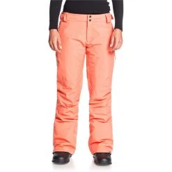 Roxy Rushmore 2L GORE-TEX Pants - Women's -Roxy Sales roxy rushmore 2l gore tex pants women s 4
