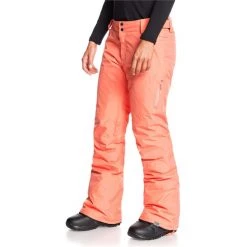 Roxy Rushmore 2L GORE-TEX Pants - Women's -Roxy Sales roxy rushmore 2l gore tex pants women s 6