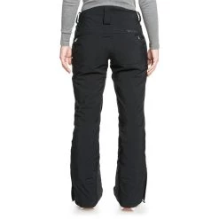 Roxy Spridle GORE-TEX Stretch Pants - Women's -Roxy Sales roxy spridle gore tex stretch pants women s 2